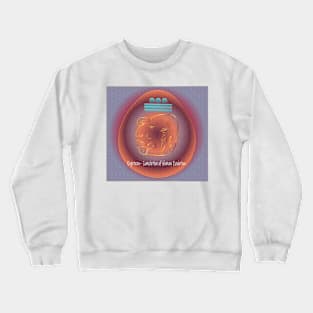 Completion Crewneck Sweatshirt